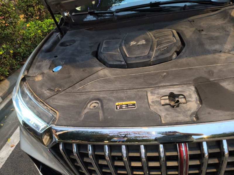 Used Hongqi HS5 2019 2.0T Smart Connect Flagship All-Wheel-Drive Version – Chinese Trim Xiang — 21