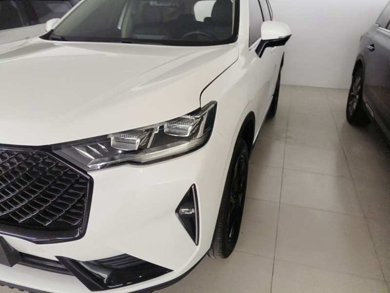 Used Haval H6 2021 3rd Generation 2.0T Automatic Two-Wheel Drive Max — 23