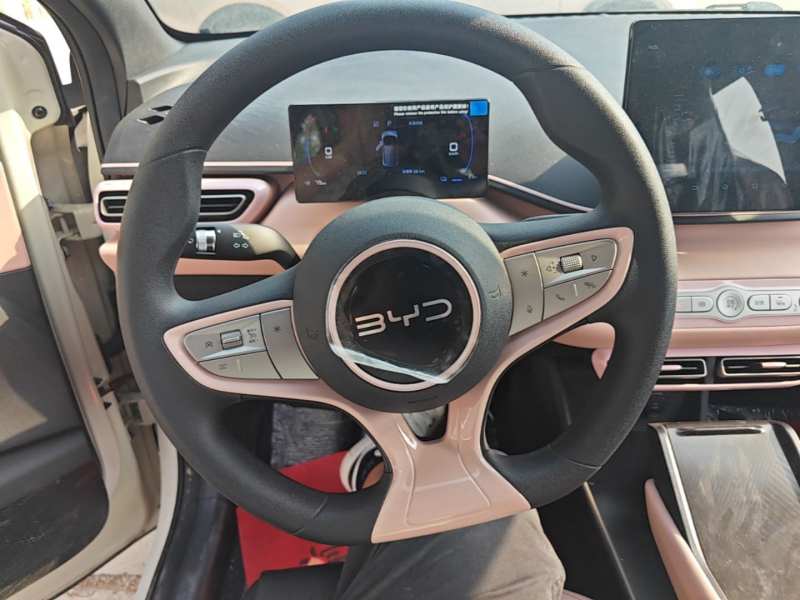 Used BYD Seagull 2025 305km Active Version — 10