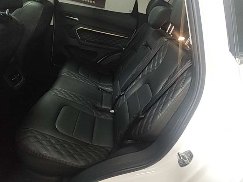 Used Haval H6 2020 2.0 GDIT Automatic Platinum Champion Edition — 16