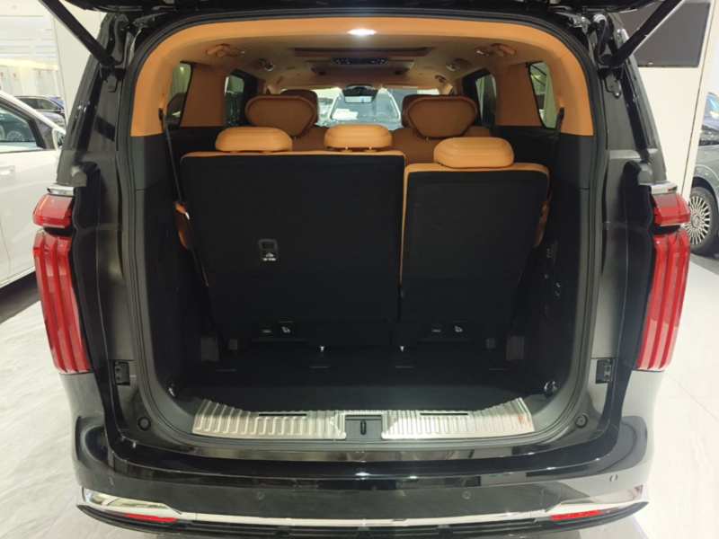 Used Wey Gaoshan 2025 Four-Wheel Drive Alpine 8 — 18