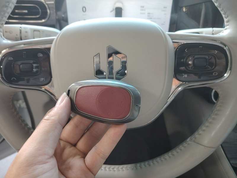 Used Leapmotor C11 2021 Luxury Edition — 8