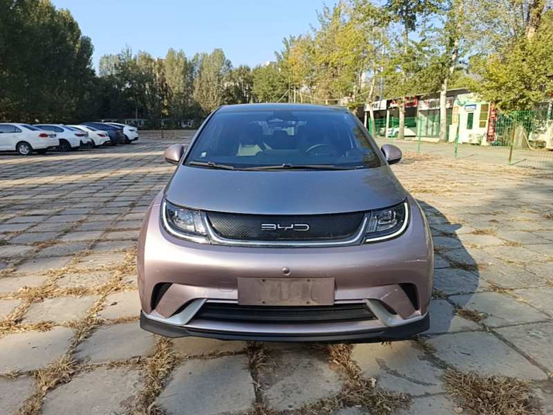 Used BYD Dolphin 2021 401km Knight Edition — 2