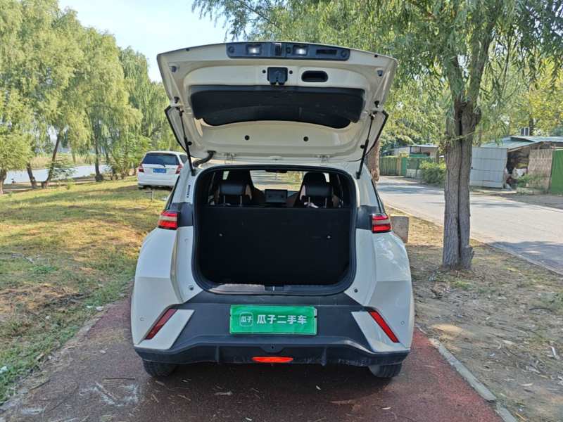 Used BYD Seagull 2024 Honor Edition 305km Dynamic Version — 18