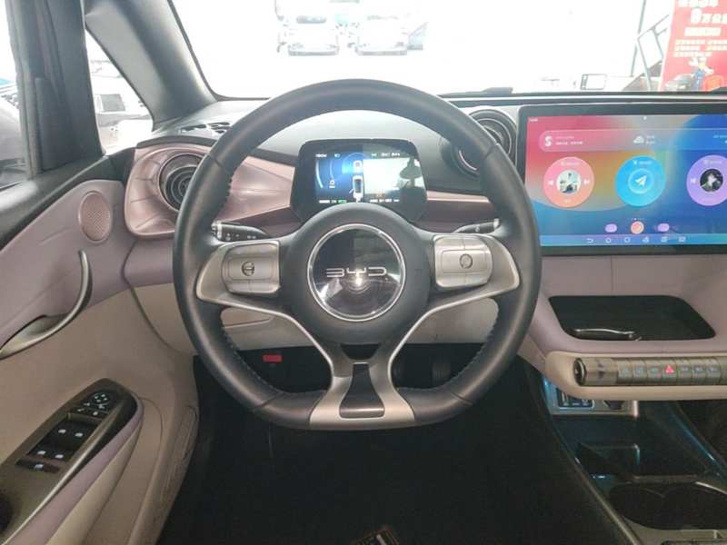 Used BYD Dolphin 2021 401km Knight Edition — 10