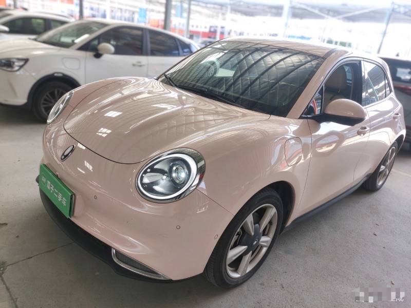 Used ORA Good Cat 2022 Morandi Edition 400km Standard Range Luxury Version Lithium-Ion Battery