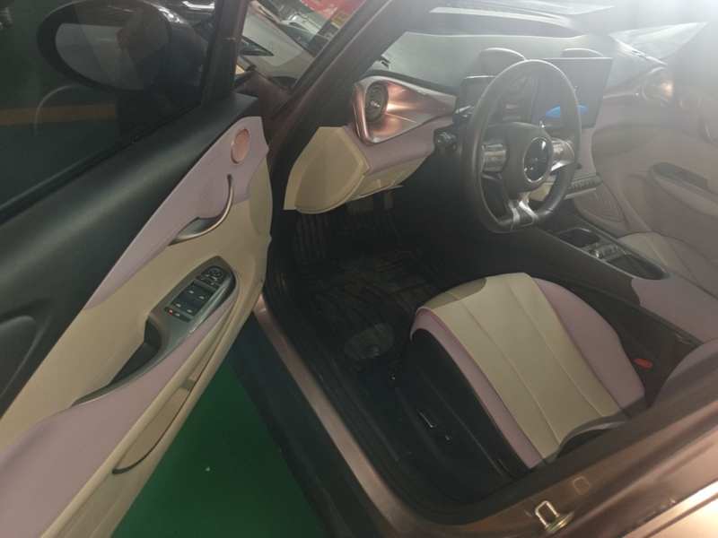 Used BYD Dolphin 2021 401km Knight Edition — 15