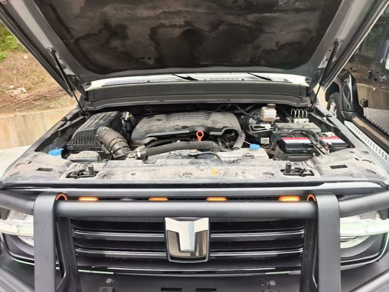 Used Tank 300 2021 Off-Road Edition 2.0T Conqueror — 19