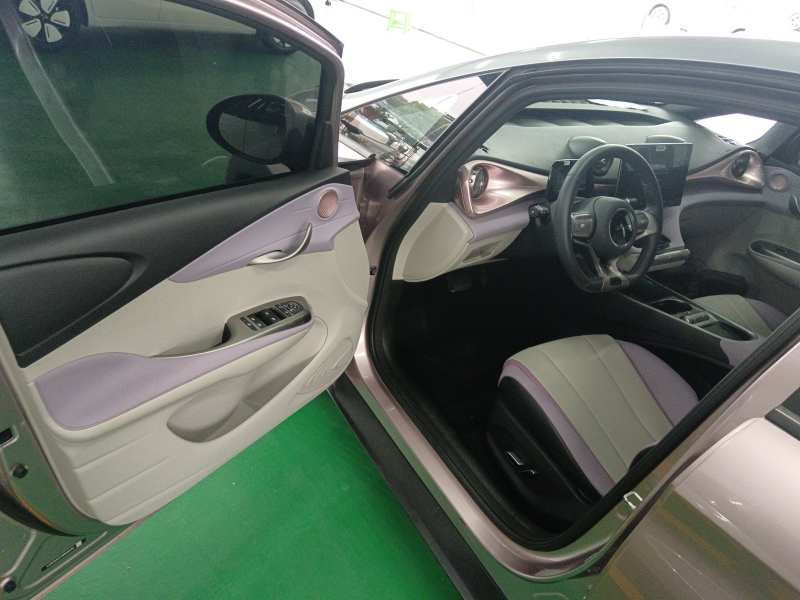 Used BYD Dolphin 2021 405 km Fashion Edition — 15