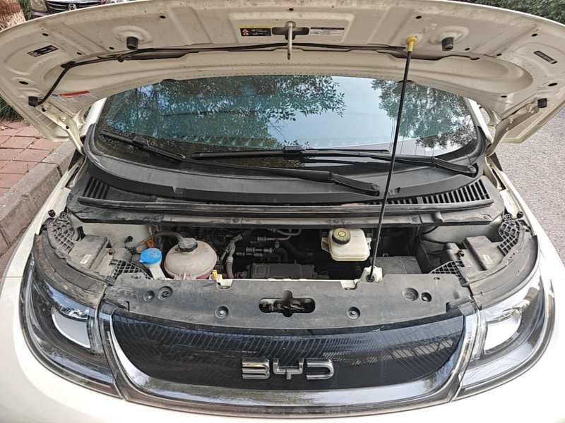 Used BYD Dolphin 2025 420km Fashion Edition — 19