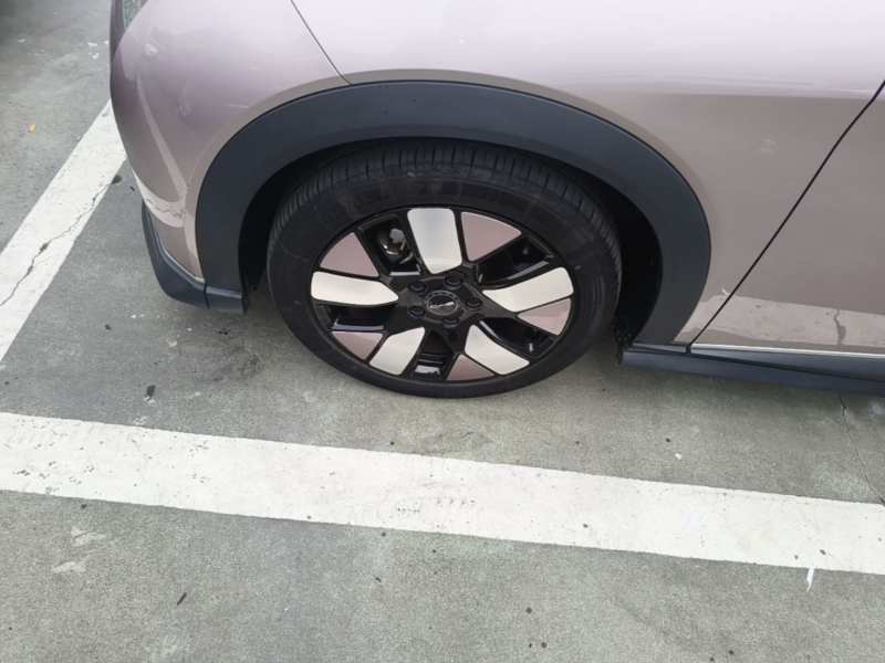 Used BYD Dolphin 2021 401km Knight Edition — 22