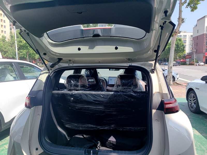 Used BYD Seagull 2025 Smart Drive Version 305 km Freedom Edition — 14