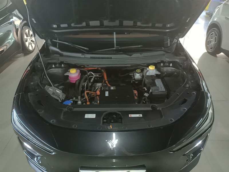 Used NETA X 2024 500 First Edition — 19