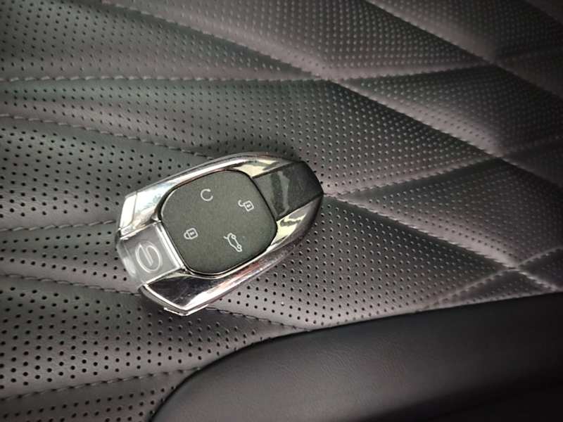 Used GAC Trumpchi GS8 2022 Dual-Engine Series 2.0TM Two-Wheel Drive Prestige Edition (7 Seats) — 8