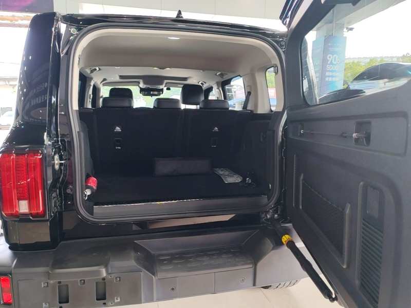Used Tank 300 New Energy 2025 Hi4-T — 18