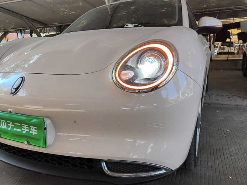 Used ORA Good Cat 2023 401 km Standard Range Luxury Version Lithium Iron Phosphate — 23