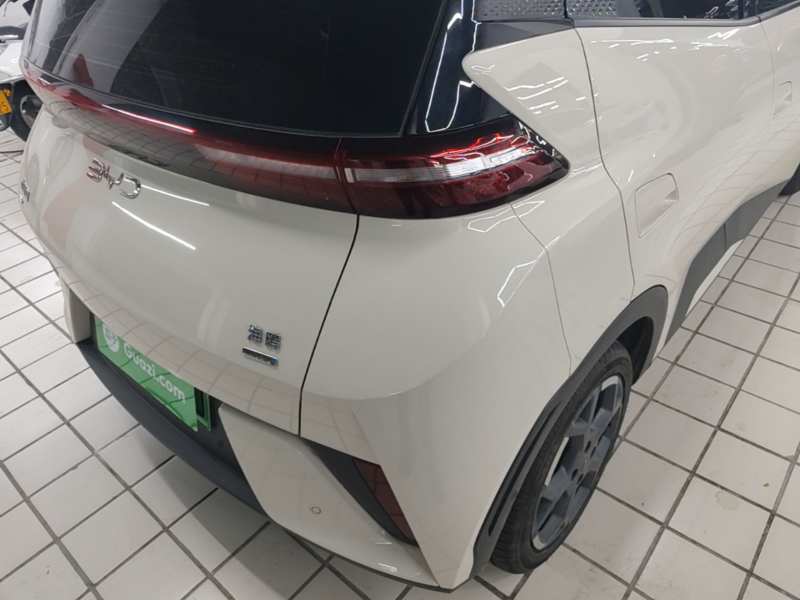 Used BYD Seagull 2025 Smart Drive Version 305 km Freedom Edition — 7