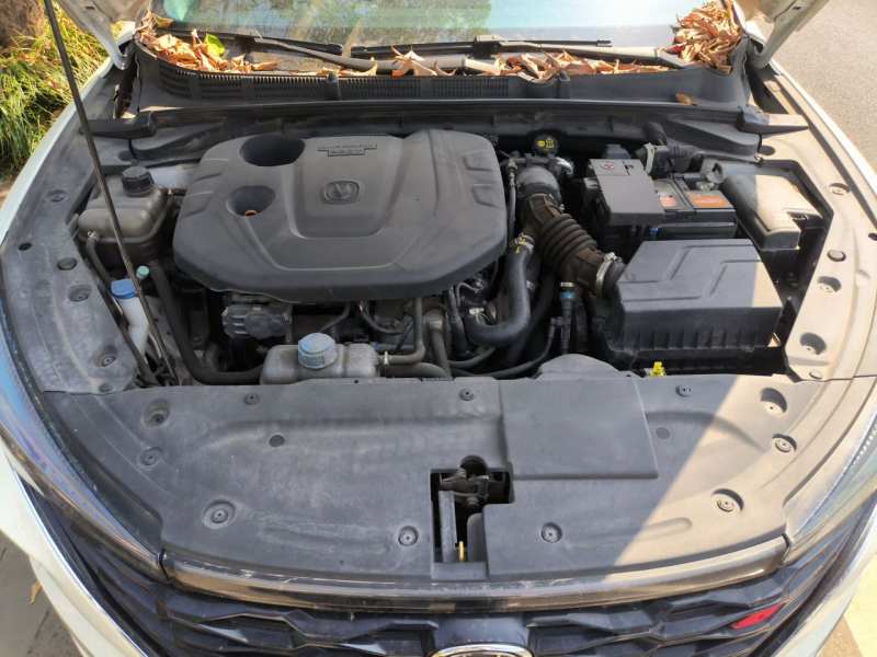 Used CHANGAN Eado 2021 PLUS Blue Whale NE 1.4T GDI DCT Prestige Model — 16