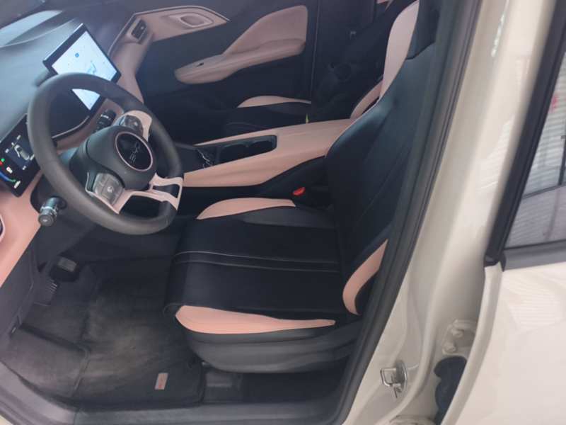 Used BYD Seagull 2023 Active Version — 14