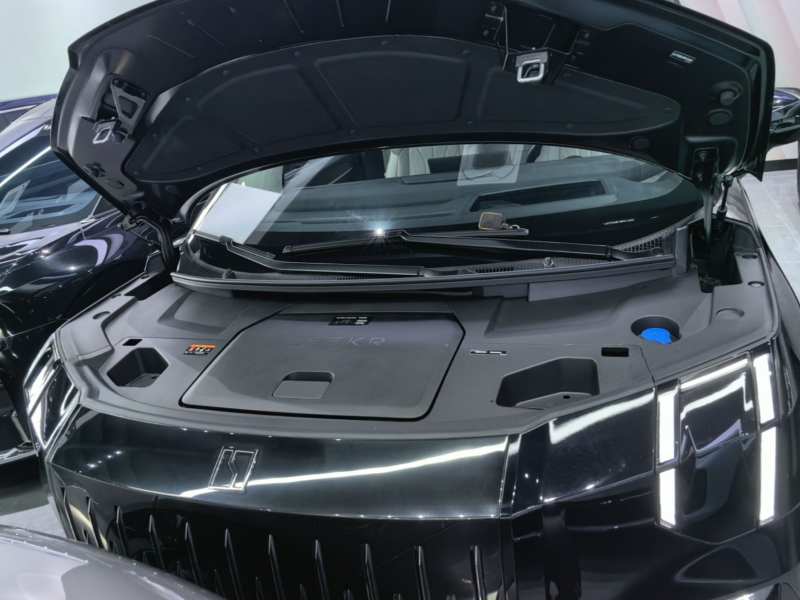 Used Zeekr 009 2024 GAC Trumpchi — 19