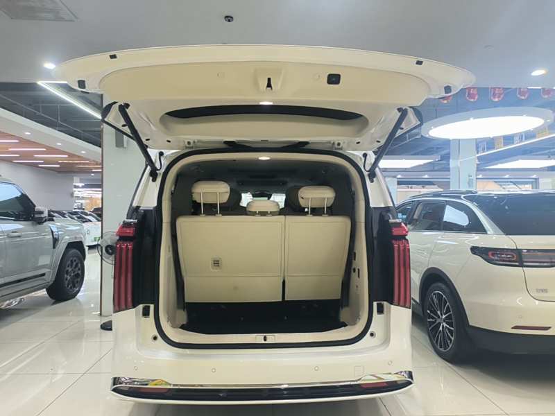 Used Wey Gaoshan 2025 Four-Wheel Drive Alpine 8 — 18
