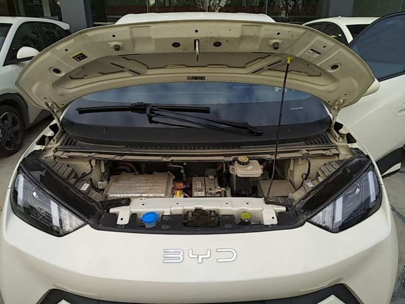 Used BYD Seagull 2025 305km Active Version — 19