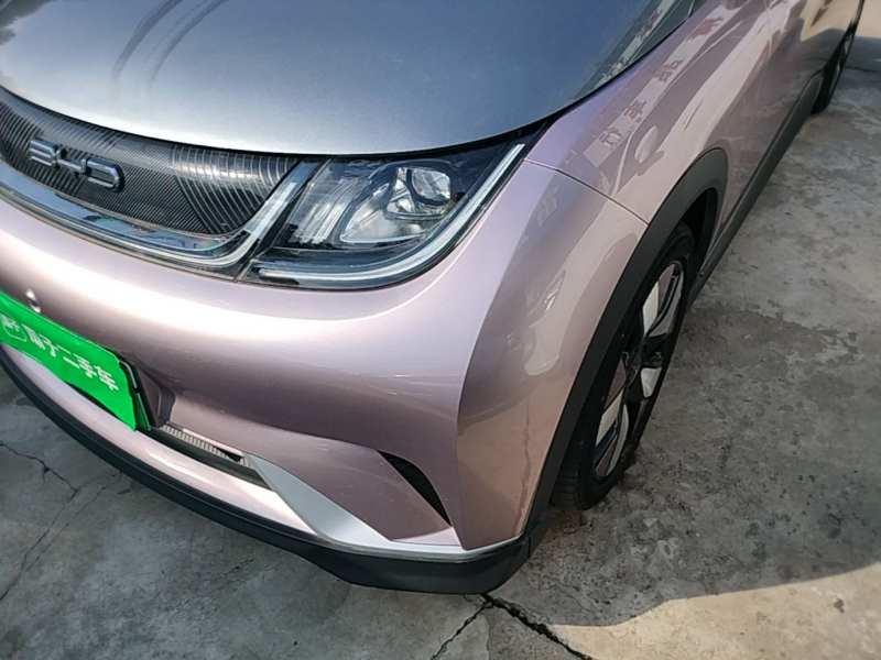 Used BYD Dolphin 2021 401km Knight Edition — 23