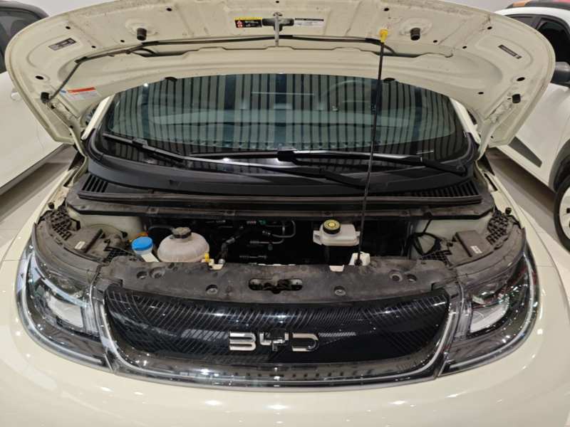 Used BYD Dolphin 2025 420km Free Edition — 19