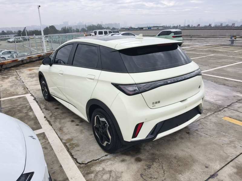 Used BYD Dolphin 2021 405 km Fashion Edition — 4