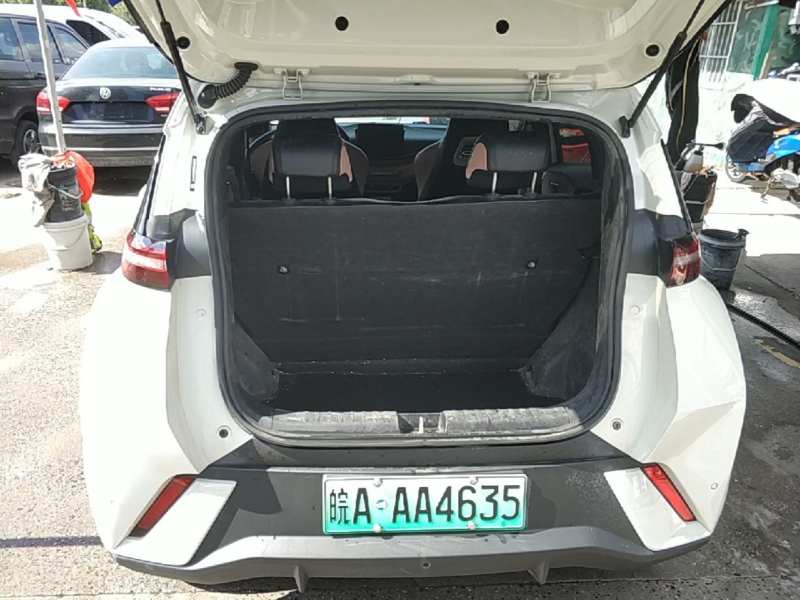 Used BYD Seagull 2024 Honor Edition 305km Dynamic Version — 18