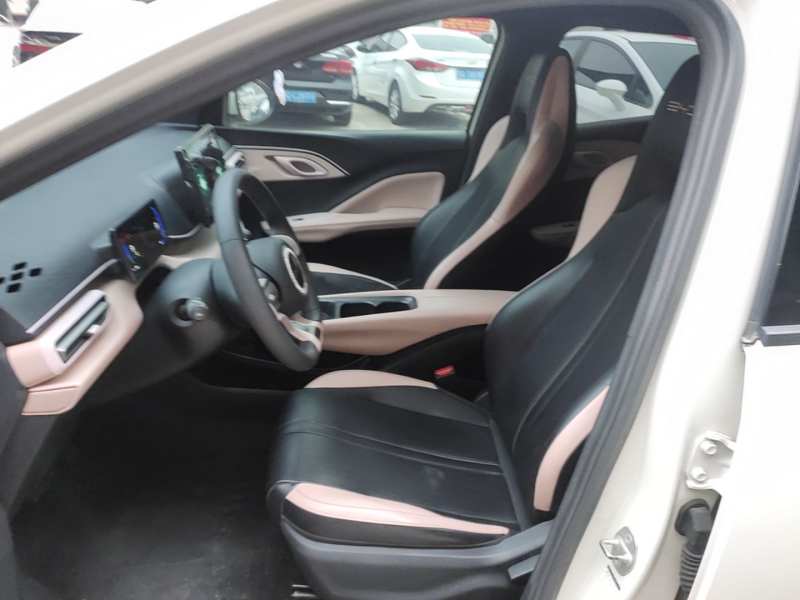 Used BYD Seagull 2024 Honor Edition 305km Dynamic Version — 14