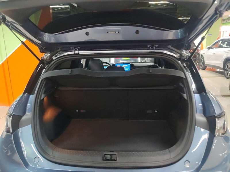 Used BYD Dolphin 2025 520km Range Knight Edition — 18