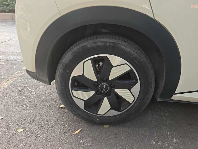 Used BYD Dolphin 2025 420km Fashion Edition — 25