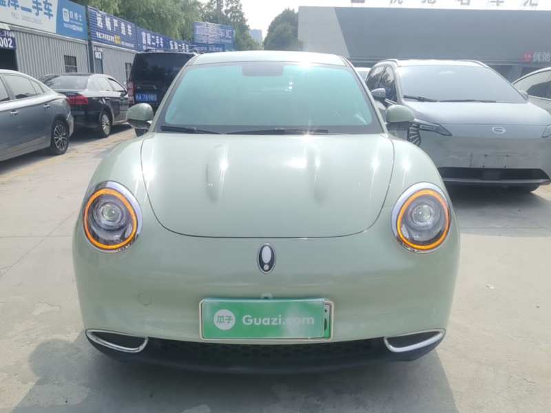 Used ORA Good Cat 2022 Morandi Edition 400km Standard Range Two-Week Young Enjoyment Version Lithium Iron Phosphate — 2