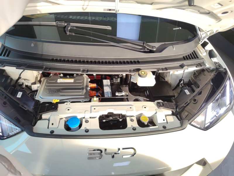 Used BYD Seagull 2025 405 km Flying Edition — 19