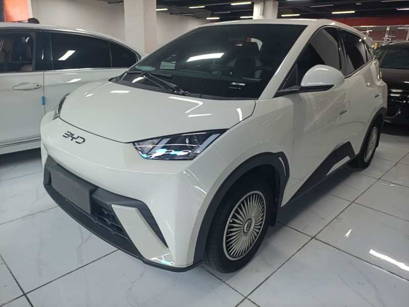 Used BYD Seagull 2024 Honor Edition 305km Dynamic Version