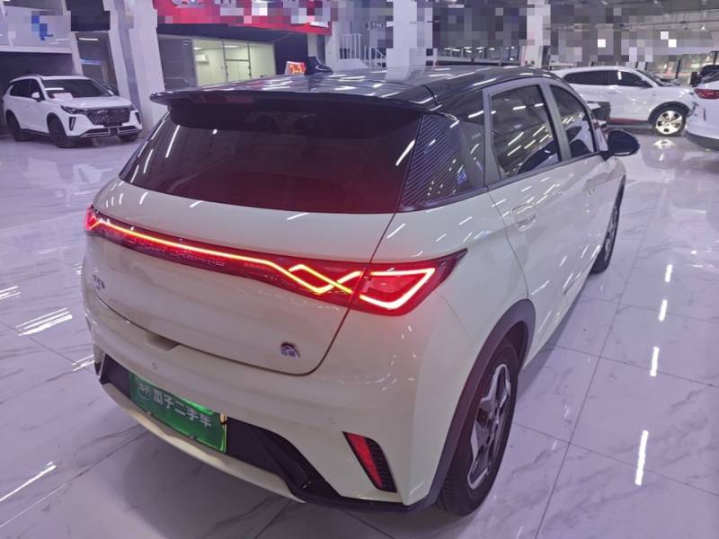 Used BYD Dolphin 2021 405 km Fashion Edition — 6