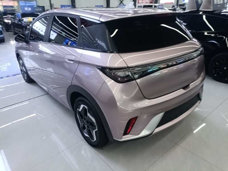 Used BYD Dolphin 2021 405 km Fashion Edition — 4