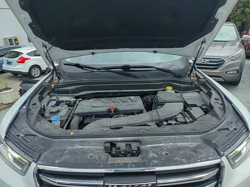 Used Haval H6 2020 1.5 GDIT Automatic Platinum Champion Edition — 19