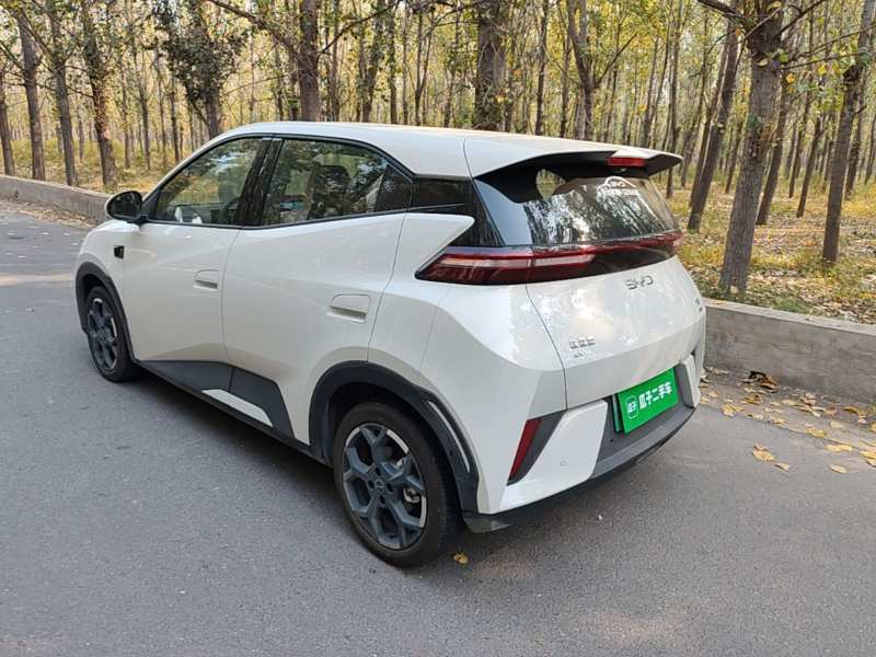 Used BYD Seagull 2025 Smart Drive Version 305 km Freedom Edition — 4