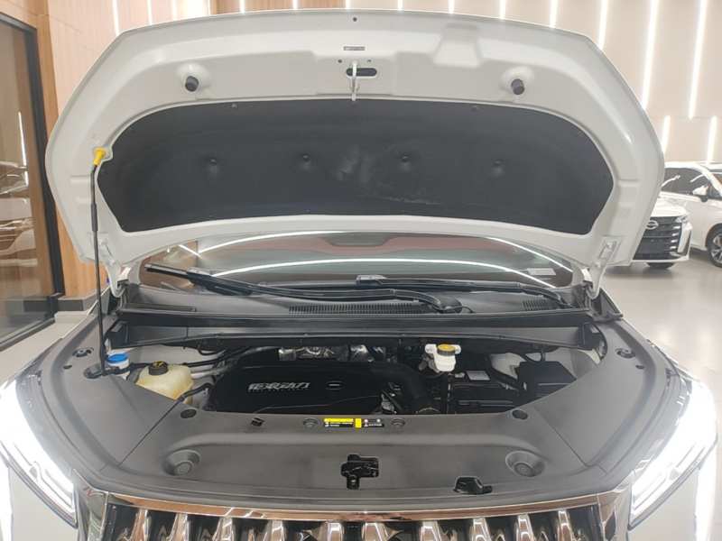 Used GAC Trumpchi M8 2023 Zongshi Series 400T Ultimate Edition — 19