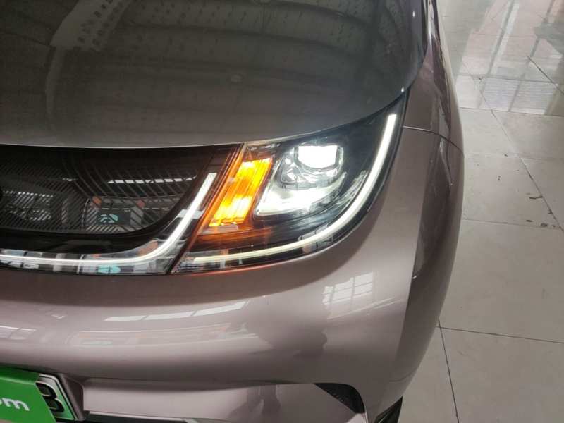 Used BYD Dolphin 2021 401km Knight Edition — 23
