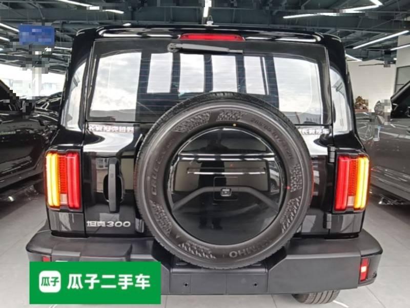 Used Tank 300 2024 2.0T Challenger — 5
