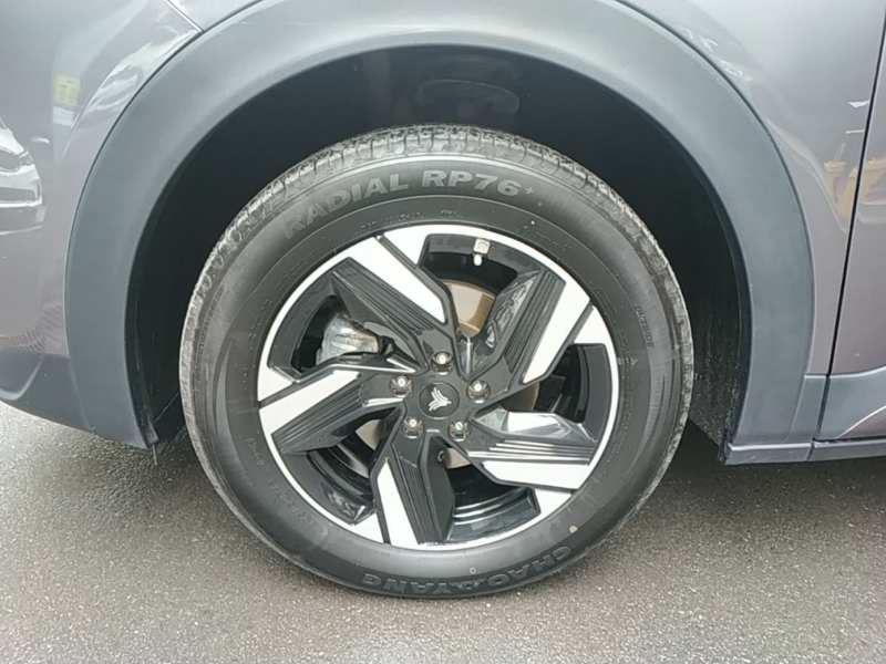 Used NETA X 2024 500 First Edition — 22