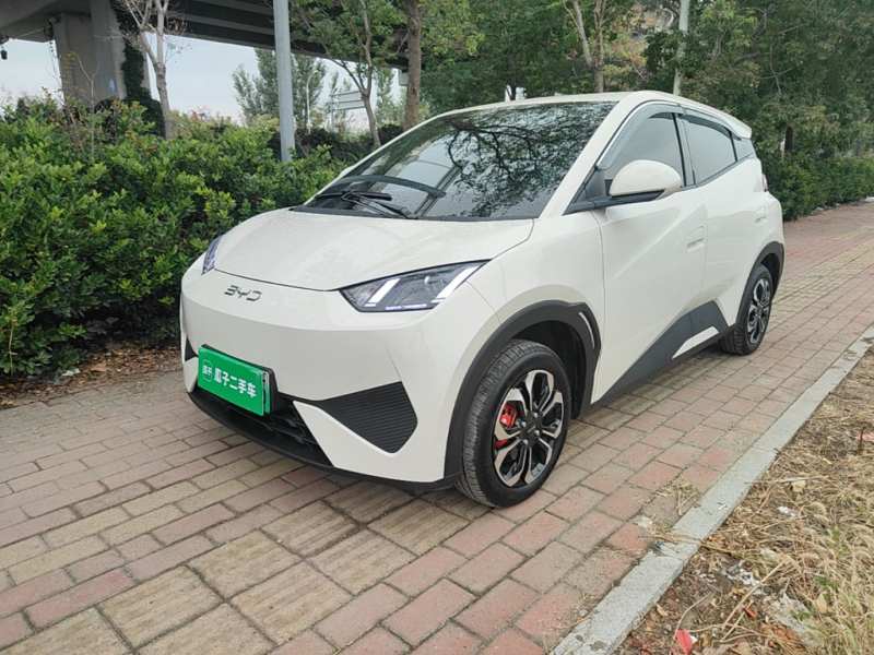 Used BYD Seagull 2025 Intelligent Driving Version 305 km Dynamic Edition — 1