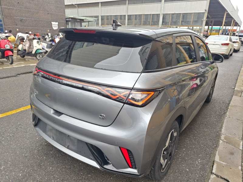 Used BYD Dolphin 2021 405 km Fashion Edition — 6