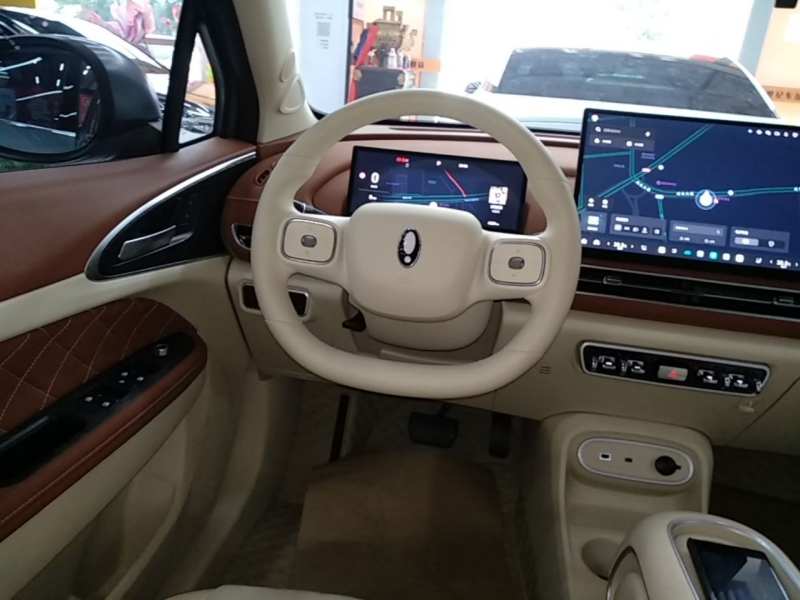 Used ORA Good Cat 2025 Model, 430 km Prestige Version — 10