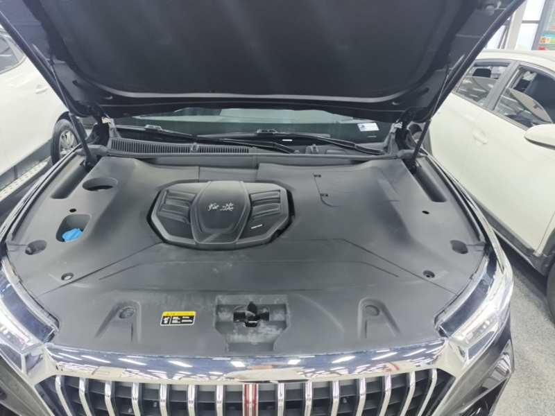 Used Hongqi HS5 2019 2.0T Smart Connect Flagship Edition – Chinese Trim Xiang — 19