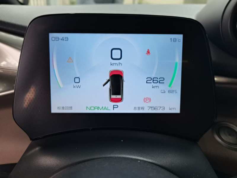 Used BYD Dolphin 2023 420 km Free Version — 11