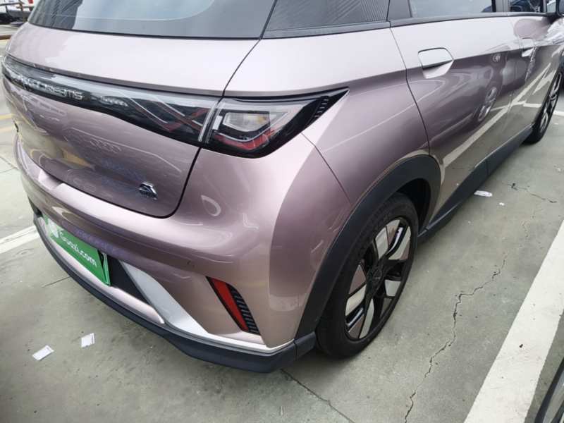 Used BYD Dolphin 2021 401km Knight Edition — 7